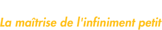 maitrise.gif